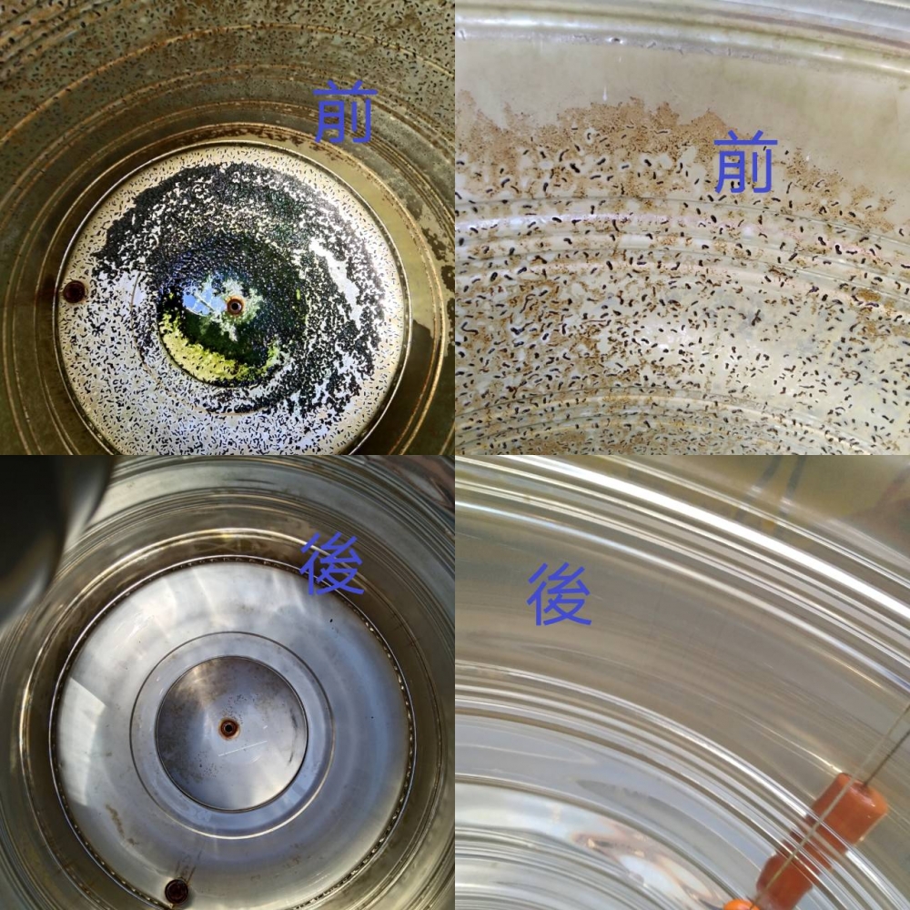 1656845572082.jpg